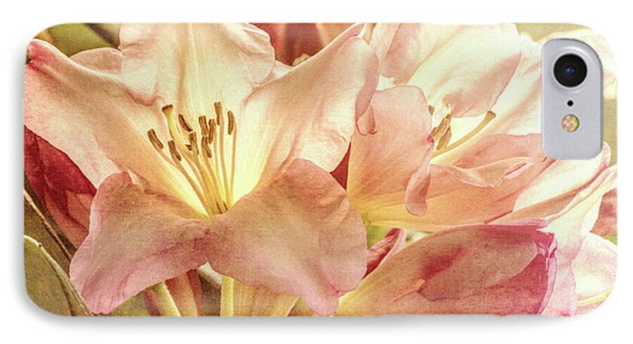 Flower iPhone 8 Case featuring the digital art Golden Reserve by Jean OKeeffe Macro Abundance Art