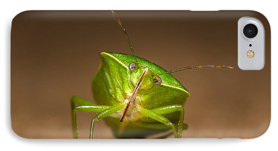 Insect iPhone 8 Case featuring the photograph Green bug by Tin Lung Chao
