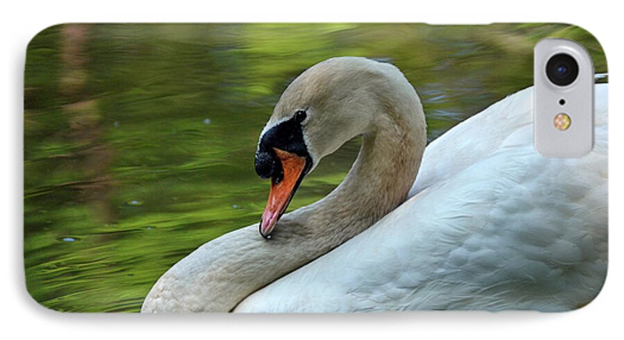 Swan iPhone 8 Case featuring the photograph Hammy Swan by Ronda Ryan