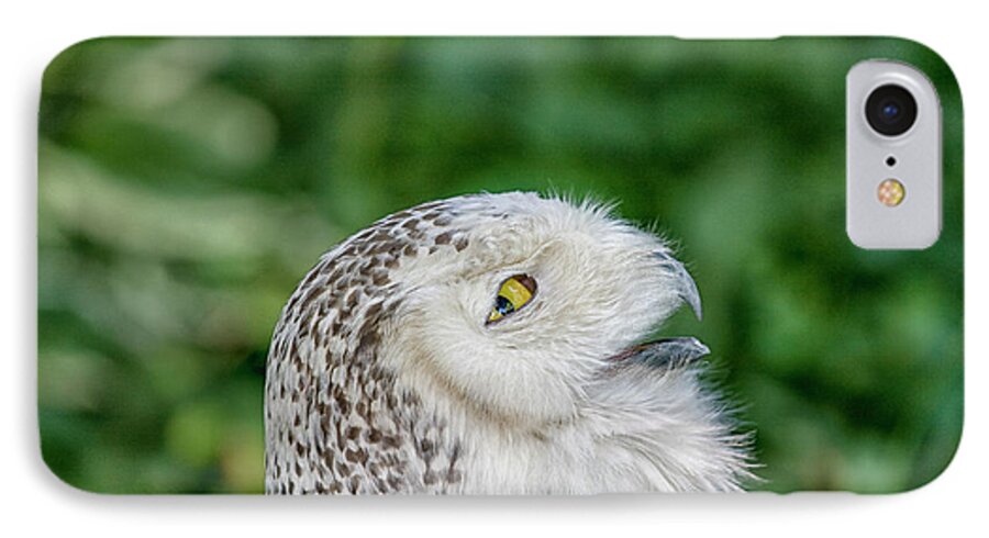 Owl iPhone 8 Case featuring the photograph Head of snowy owl by Patricia Hofmeester