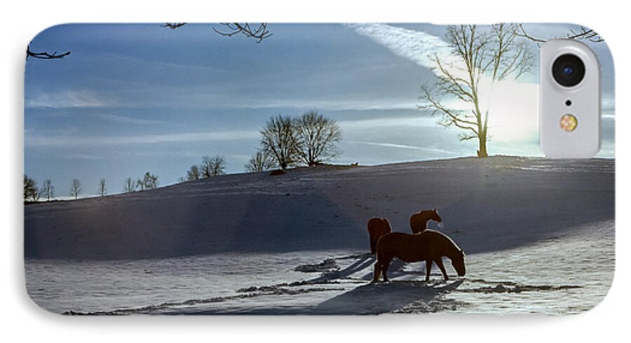 Horses iPhone 8 Case featuring the photograph Horses in the Snow by Greg Reed