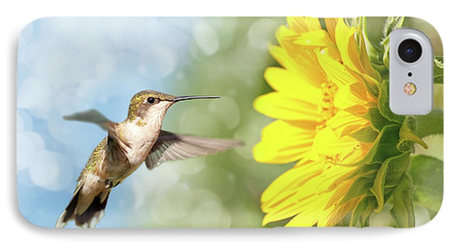 Sunflower iPhone 8 Case featuring the photograph Hummingbird and Sunflower by Sari ONeal