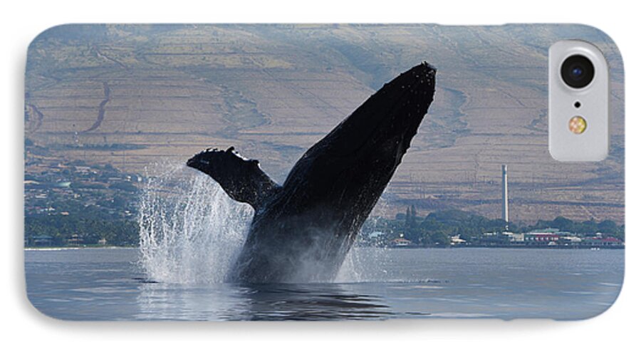 Humpback iPhone 8 Case featuring the photograph Humpback Whale Breach by Jennifer Ancker