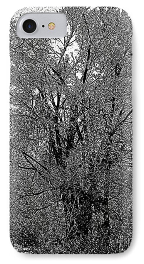 Ice Iced Tree Forest Limb Branch Cold Winter Hoarfrost Frost Outdoors Landscape Craig Walters A An The Art Artist Artistic Photo Photograph Photographic iPhone 8 Case featuring the digital art Iced Tree by Craig Walters