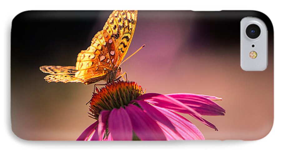 Echinacea iPhone 8 Case featuring the photograph If I could by Craig Szymanski