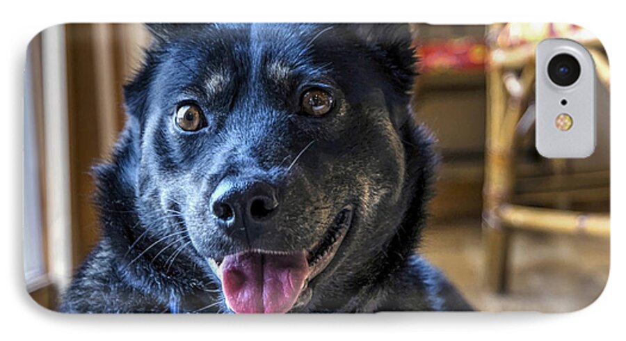 Dog iPhone 8 Case featuring the photograph Ready When You Are by Keith Armstrong