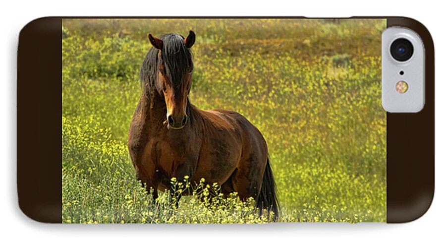 Horse iPhone 8 Case featuring the photograph In the Name of Pride by Waterdancer