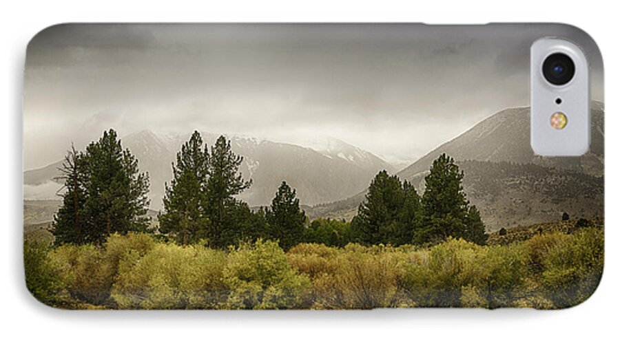 june Lakes iPhone 8 Case featuring the photograph June Lakes Loop in the Autumn Rain by Janis Knight