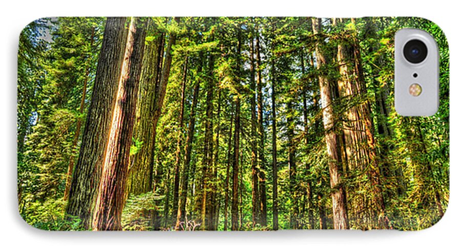 Photograph iPhone 8 Case featuring the photograph Land of the Giants by Richard Gehlbach