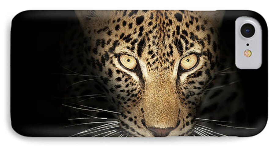 Leopardeyesdarkblackbackgroundwildlifeanimalmammalwildcatpantherapardusspottedfierceintensestarelookpowerfulpredatorcloseupclose-upclosepiercinglicktonguefrontviewafricaphotographonenobodyportraitsafaripawyellownaturedetail015092rs2 iPhone 8 Case featuring the photograph Leopard In The Dark by Johan Swanepoel