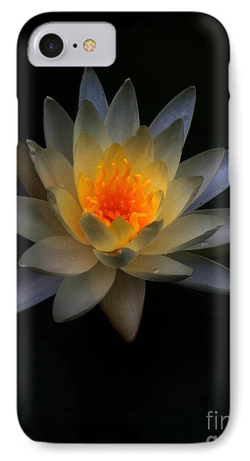 Water Lily iPhone 8 Case featuring the photograph Let There Be Light by Nona Kumah