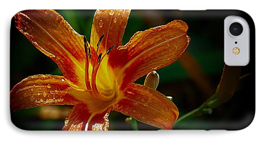 Dark Orange Lily iPhone 8 Case featuring the photograph Light in the Dark by Karen McKenzie McAdoo