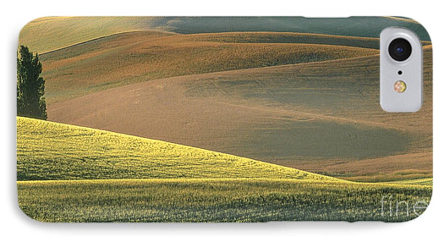Landscape iPhone 8 Case featuring the photograph Lone Tree in the Palouse by Sandra Bronstein