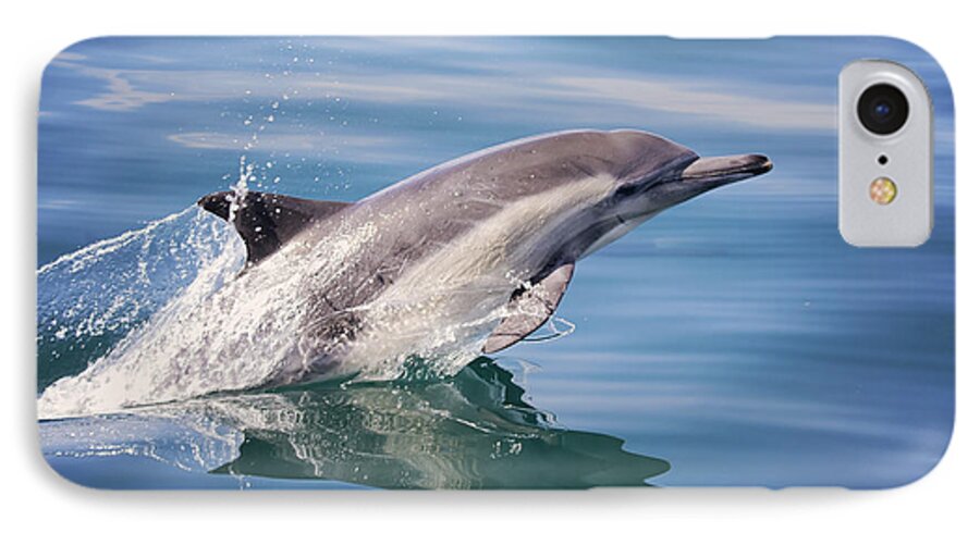 Long iPhone 8 Case featuring the photograph Long Beaked Common Dolphin by Deana Glenz
