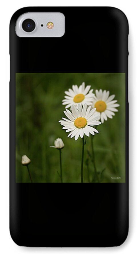Daisies iPhone 8 Case featuring the photograph Loves Me, Loves Me Not by Rebecca Samler