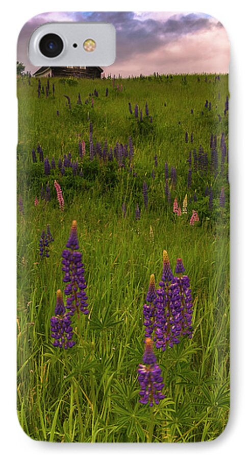 Maine iPhone 8 Case featuring the photograph Maine Lupines and Home after Rain and Storm by Ranjay Mitra