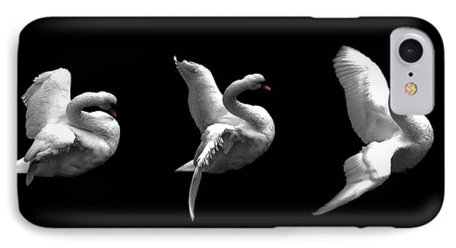 Swans iPhone 8 Case featuring the digital art Majestic Swan Triptych by Dale  Ford
