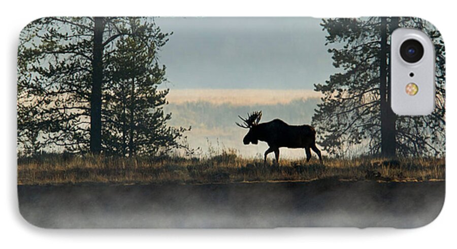 Moose iPhone 8 Case featuring the photograph Moose Surprise by Shari Sommerfeld