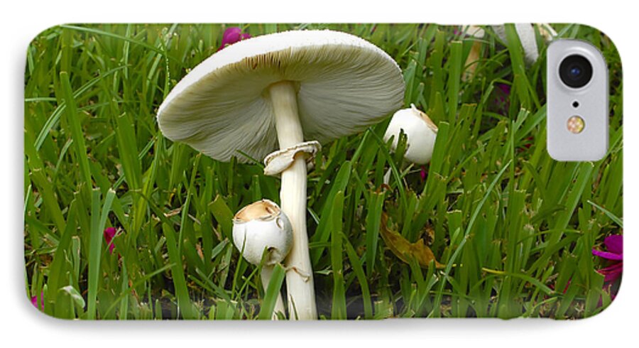 Mushrooms iPhone 8 Case featuring the photograph Morning Surprise by David Lee Thompson