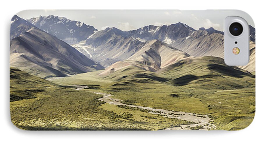 Mountains In Denali National Park iPhone 8 Case featuring the photograph Mountains in Denali National Park by Phyllis Taylor