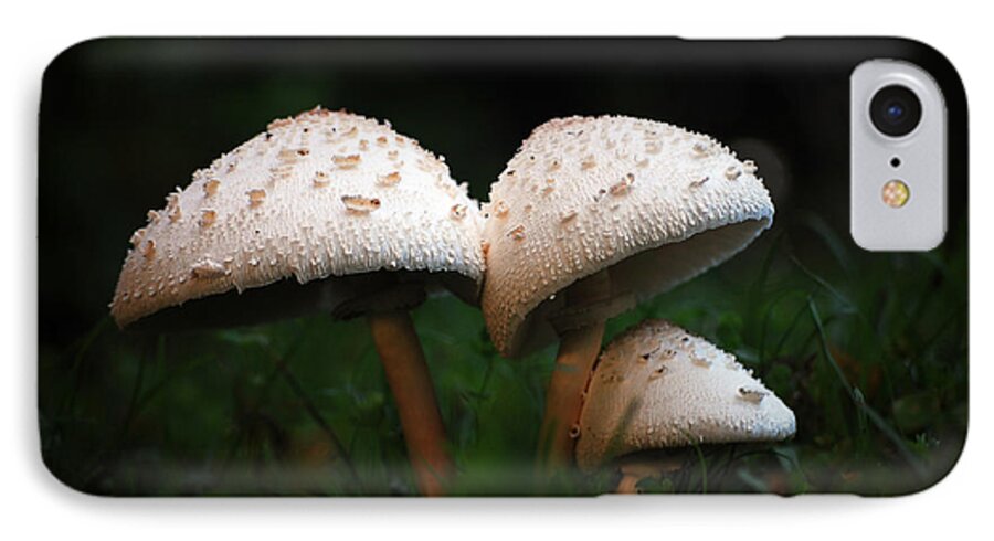 Mushrooms iPhone 8 Case featuring the photograph Mushrooms in the morning by Robert Meanor