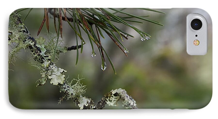 Greeting Card iPhone 8 Case featuring the photograph Nature's Tears by Rhonda McDougall