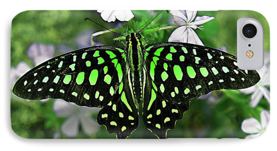Tailed Jay Butterfly iPhone 8 Case featuring the photograph Neon --- Tailed Jay Butterfly by Bob Johnson