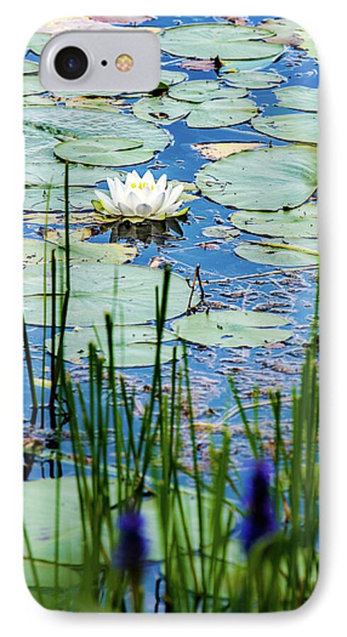Nymphaea Odorata iPhone 8 Case featuring the photograph North American White Water Lily by Onyonet Photo studios