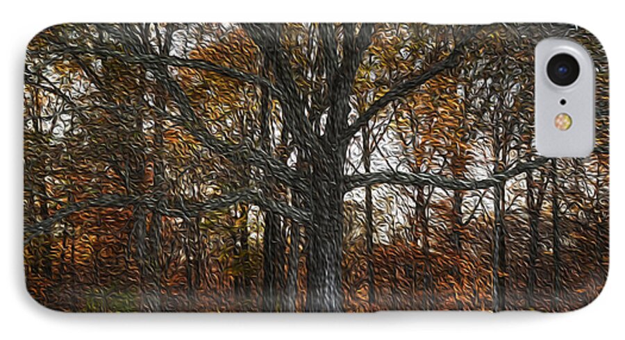 Oak Tree iPhone 8 Case featuring the photograph Embracing Autumn by Wanda Brandon