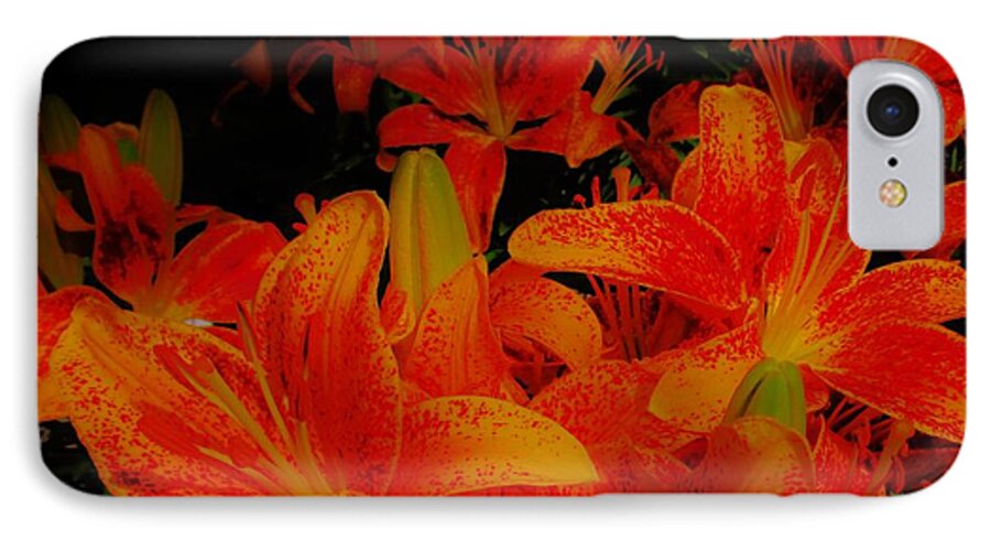 Orange And Black iPhone 8 Case featuring the photograph Spicey Tiger Lilies by Sharon Ackley