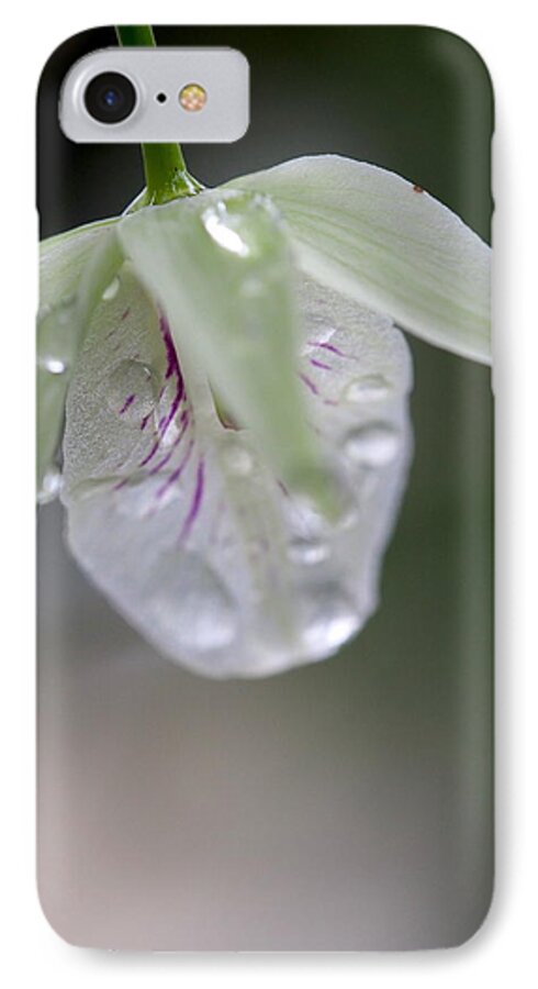 Flower iPhone 8 Case featuring the photograph Orchid by Jessica Myscofski