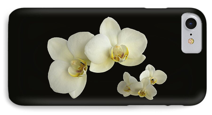 Orchid iPhone 8 Case featuring the photograph Orchid Montage by Hazy Apple