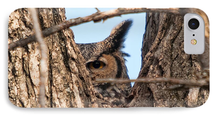 Owl iPhone 8 Case featuring the photograph Owl Peek by Steve Stuller