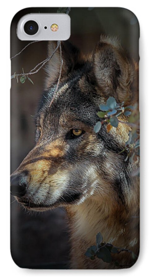 Mexican Grey Wolves iPhone 8 Case featuring the photograph Peeking Out From The Shadows by Elaine Malott