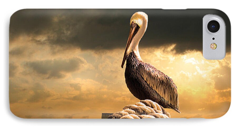 Pelican iPhone 8 Case featuring the photograph Pelican after a storm by Mal Bray
