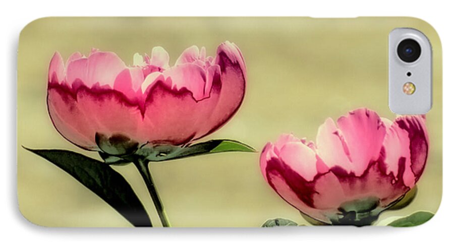 Peony iPhone 8 Case featuring the photograph Peony Pair - Enhanced by MTBobbins Photography