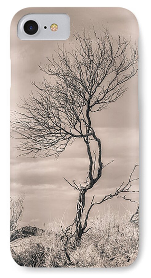 Tree iPhone 8 Case featuring the photograph Perseverance by Racheal Christian