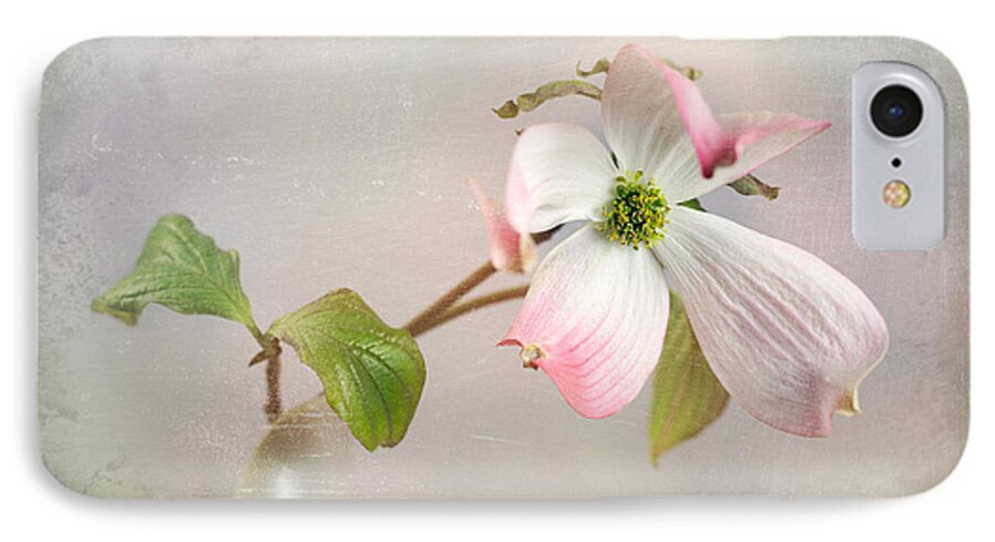 Cornus iPhone 8 Case featuring the photograph Pink Cornus Kousa Dogwood Blossom by Betty Denise
