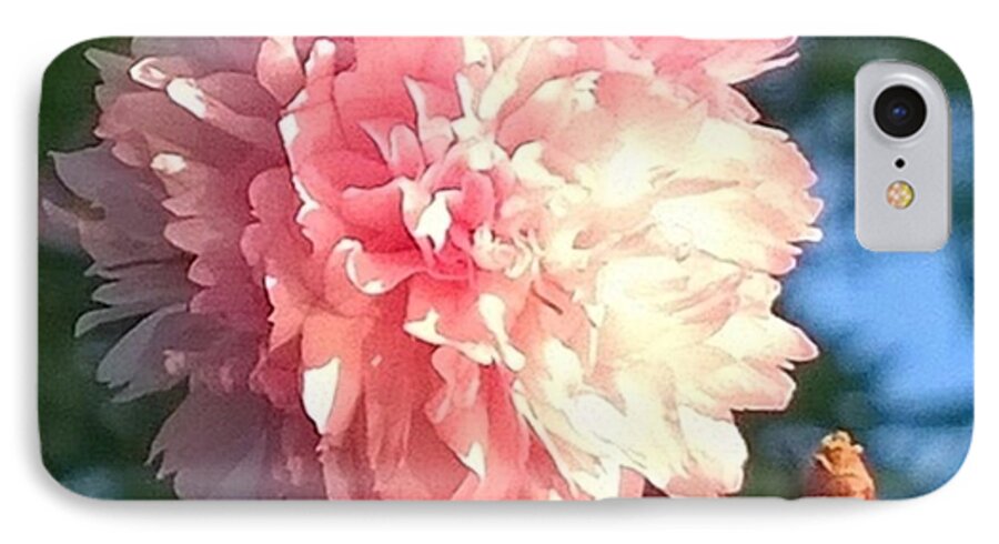 Plant iPhone 8 Case featuring the photograph Pink Flower Bloom In Sunset. #flowers by Shari Warren