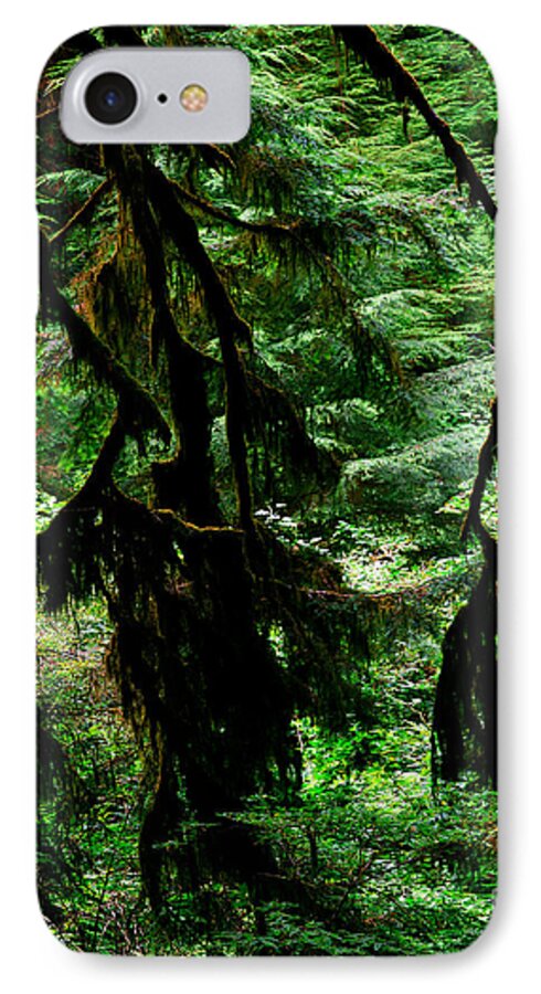 Redwood Trees iPhone 8 Case featuring the photograph Prairie Creek Redwoods State Park 12 by Terry Elniski