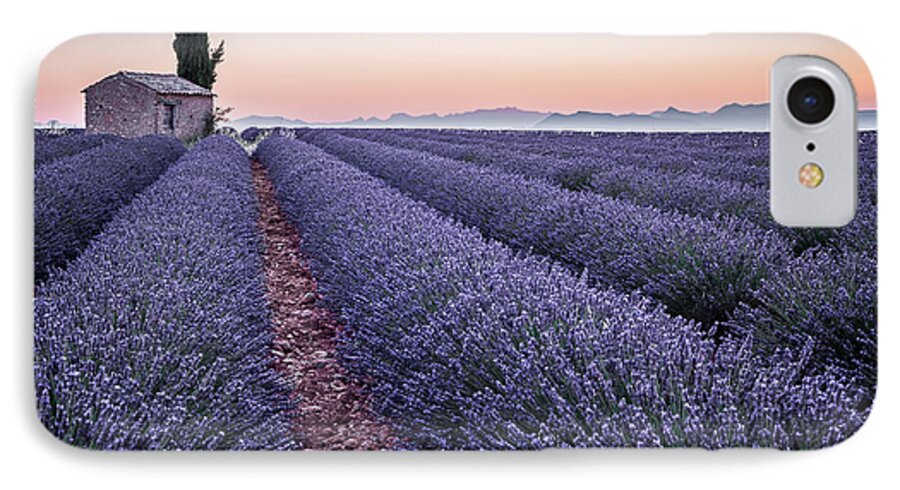 Provence iPhone 8 Case featuring the photograph Provence by Stefano Termanini