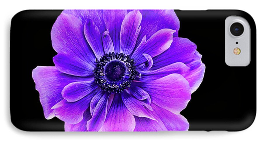 Purple Flower iPhone 8 Case featuring the photograph Purple Anemone Flower by Mariola Bitner