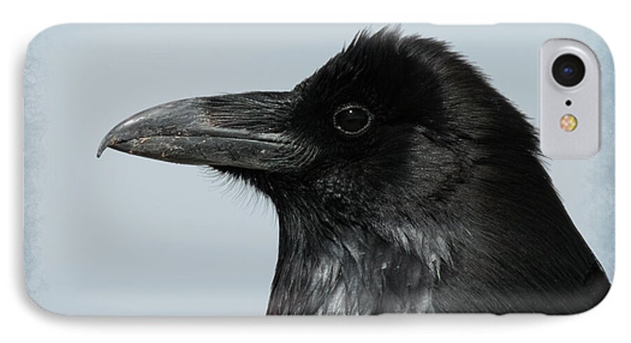 Raven iPhone 8 Case featuring the photograph Raven Profile by Ernest Echols