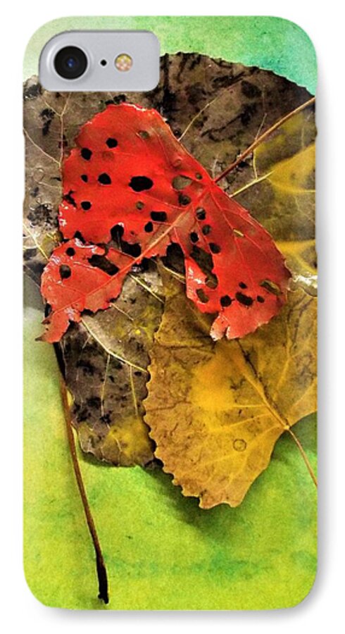 Fall Colors iPhone 8 Case featuring the photograph Ready For The Pile by Michael Dillon