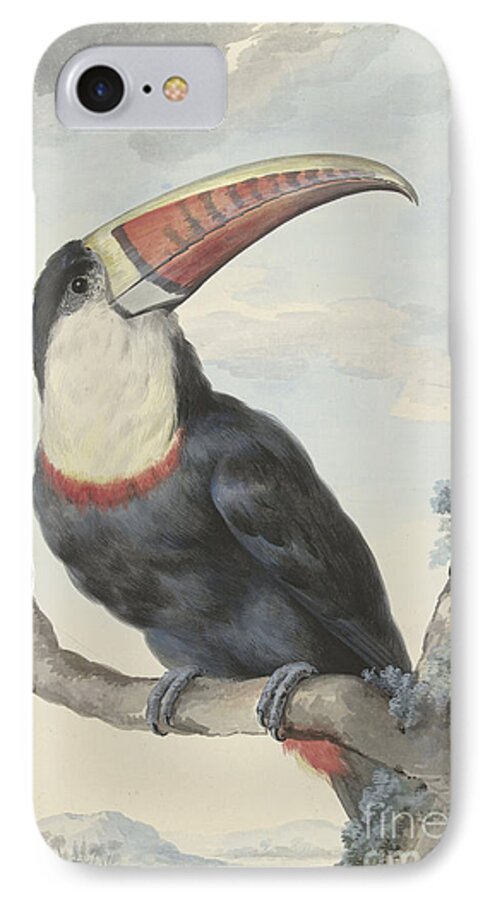 Toucan iPhone 8 Case featuring the painting Red billed Toucan, 1748 by Aert Schouman