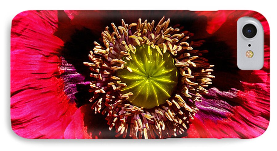 Poppy iPhone 8 Case featuring the photograph Red Poppy 014 by George Bostian