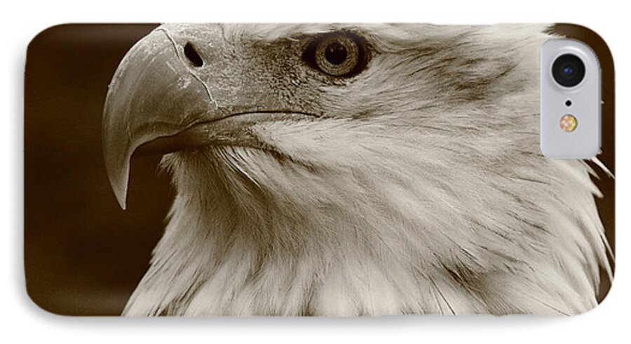 Eagle iPhone 8 Case featuring the photograph Regal Eagle by Bruce J Robinson