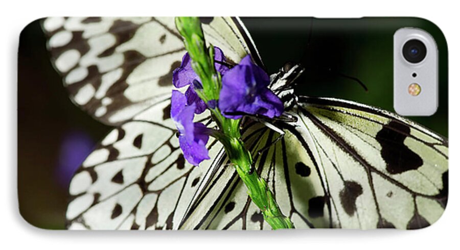 Rice Paper Butterfly iPhone 8 Case featuring the photograph Rice Paper Butterfly by JT Lewis