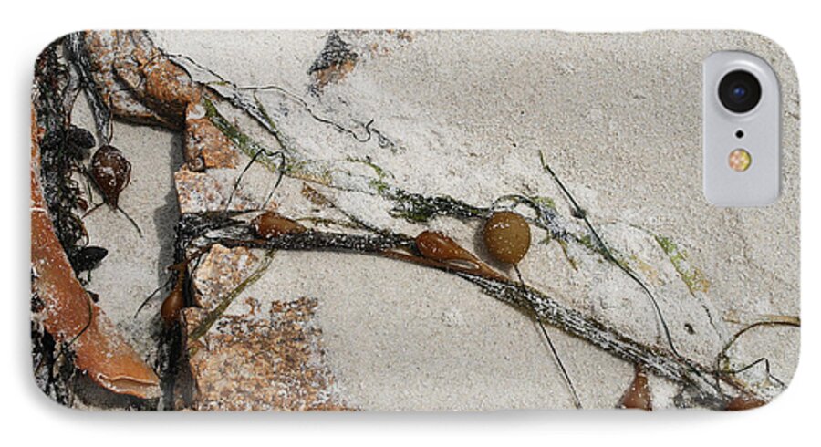 Landscape iPhone 8 Case featuring the photograph Rocks longside by Kathleen Grace