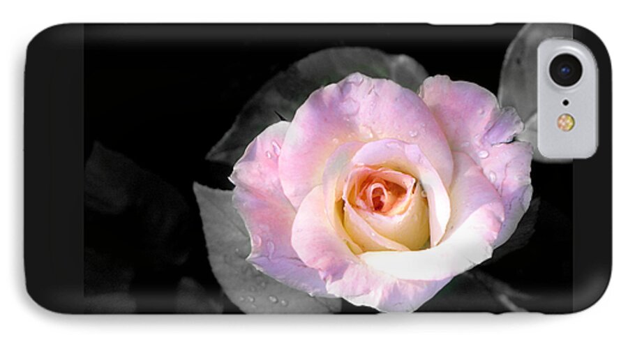 Princess Diana Rose iPhone 8 Case featuring the photograph Rose Emergance by Steve Karol